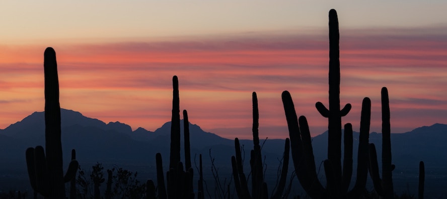 a sunset paints the sky in shades of orange, red, and gray, with mountains silhouetted in the distance and saguaro cacti silhouetted in the foreground